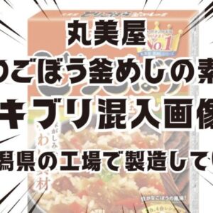 「とりごぼう釜めしの素」ゴキブリ混入画像！新潟県の工場で製造していた