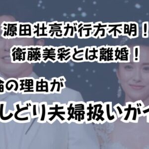 源田壮亮が行方不明！衛藤美彩とは離婚！不倫の理由がおしどり夫婦扱いがイヤ