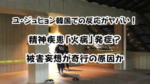 ユ・ジュヒョン韓国での反応がヤバい！精神疾患「火病」発症？被害妄想が奇行の原因か